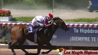 Cl&aacute;sico 