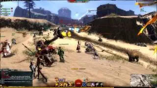 Gw2 Gilde Zerg