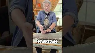 СМЕРТЕЛЬНОЕ изобретение Бенджамина Франклина! 🤯