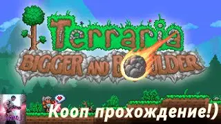 Почему да, когда  да, ГО В TERRARIA!