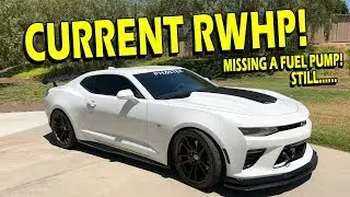 Whipple Power Numbers & Car Update! Drive with Lethal | S3: EP4