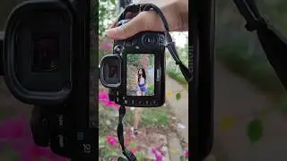 Wait For Pictures.#shortsfeed #shortsviral #shortsyoutube #shortvideo #shortsvideo #shorts #short