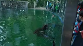 ZOO Dortmund. Зоопарк в городе Дортмунд.