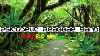 Reggae Funk- Psicodelic Reggae Band