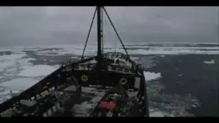 Major Hazards for Sea Shepherds