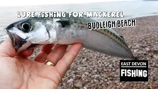 Lure fishing at Budleigh beach