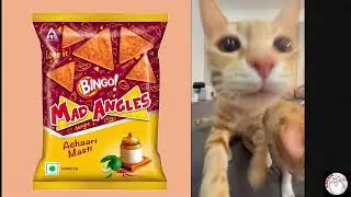 Ranking Indian CHIPS with cat memes
