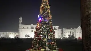 Christmas 🎅 Sports Day Celebration in Bambolim, Goa