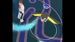 寶可夢晚上台找電海燕
