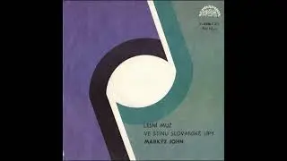 Mark&yacute;z John - Lesn&iacute; muž