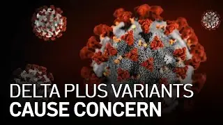 Delta Plus Variants Detected in the South Bay