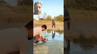 Creative videography🤣 #fish #shorts #ytshorts #trending #viralshorts #creative #funny