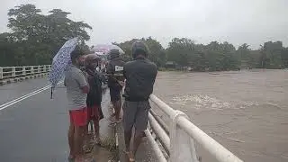 Kala Oya - 57 Road Bridge. (Ditwah Sulikunatuwa 2025.11.28)