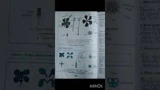 #12th #biology #practicalbook #handbook #journal #std12th #all handbook #12th science All handbook