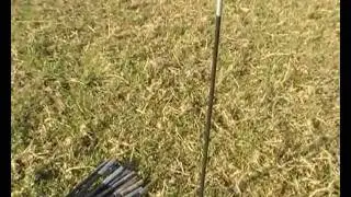 Long Net Support Poles
