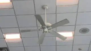 Hunter &ldquo;Infiniti&rdquo; Ceiling Fans