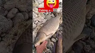 Todayin Abasen  fishing #viralvideos #funny #lovesong #beautiful #duet #shortvideo #