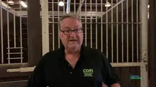 Ghost Hunting - 2019 Fall Home Show - Toronto Home Shows