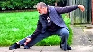@YouTube #youtube #youtuber #TaiChi #TaiJiQuan #QiGong #KungFu #MartialArts #Spider #Style #Video ☯️