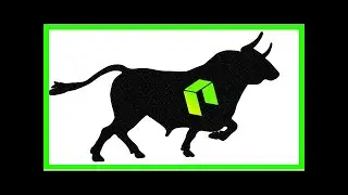 NEO Bull Run Happened