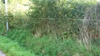 Normandy Hedgerows ~ Following the 5th Armored Division Trek Part 3