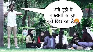 Insulting Girls Prank #2 || Bakriyon ke Group Ke Pass Hu 🤣|| #gautamvines @Abhinav