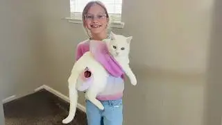 19-Year-Old Cat Only Loves ONE Person 🐱💖
