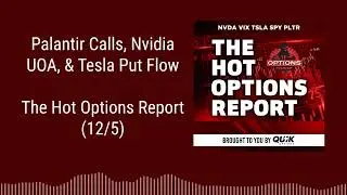 Palantir Calls, Nvidia UOA, & Tesla Put Flow | The Hot Options Report (12/5)