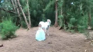 Valerie &lsquo;s Unicorn Photoshoot by Wee Photography