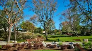 Lake Forest 25th Anniversary Presentation
