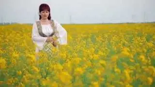 Florica Jinga - Dragostea ,dragostea (Blondu Media Production)