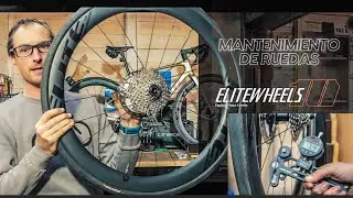 MANTENIMIENTO ELITE WHEELS PRO DISC CERAMIC