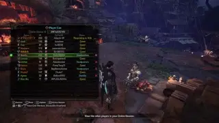 MHW - The Deathly Quiet Curtain - No Commentary