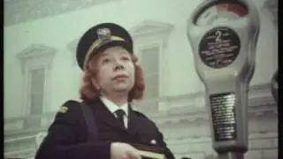 Meter Maid