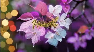 Beautiful cello & Piano Melodies ~ Relaxing Piano Music And Rain for Peaceful Moments | Deep sleep