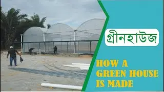 গ্রিনহাউজ  সেটআপ ।  HOW TO SETUP A GREEN HOUSE