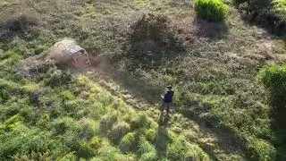 Land Clearing Blackberry, Bowentown, GRazer NZ