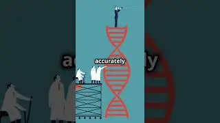 DNAREPAIRSYSTEM shares on Unlocking the Secrets of DNA Health