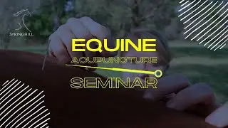 Equine Acupuncture Seminar