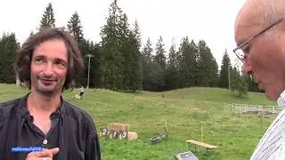 Chiens de troupeaux, Championnat Suisse 2019: La Grand'Borne avec Steve Jaunin
