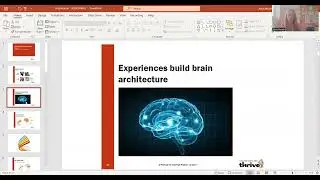 Thrive Session 1- Neuroscience and Attachment