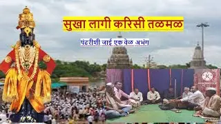 सुखा लागी करिसी तळमळ अभंग