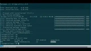 NetworkManager | настройка bridge в Arch Linux