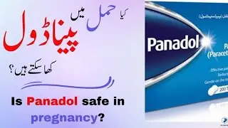Is Panadol Safe In Pregnancy | کیا حمل میں پیناڈول کھا سکتے ہیں | Dr Aisha Riaz