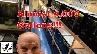 Dan's Fish Room Tour....This Is HUGE!!!