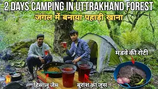 2 Days Camping In Rain Forest | कैंपिंग में पहाड़ी खाना | Camp Food From Natural Herbs