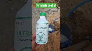 Termite control #termitetreatment #terminator #basement #termite #control #viral #trending #civil