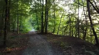 Trust the Unfolding: Embrace the Journey Through Uncertainty