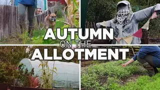 Little Jobs Before Winter | Allotment Vlog