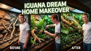 Building the Ultimate Dream Home for My Giant Iguana